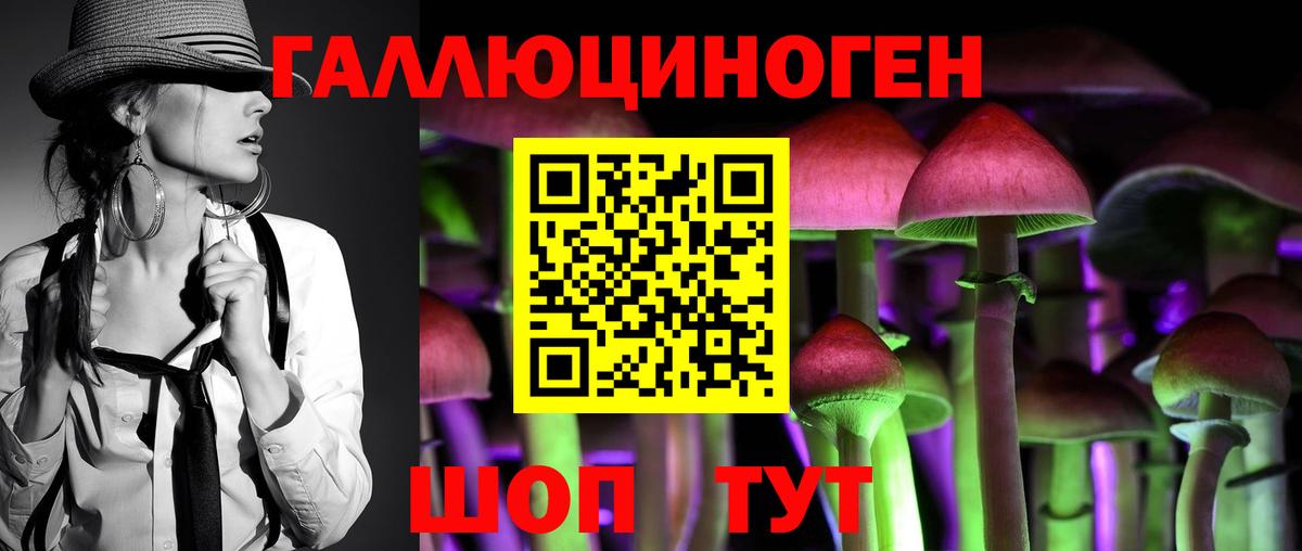 Костомукша  Галлюциногенные грибы Psilocybe  Вход с VPN 